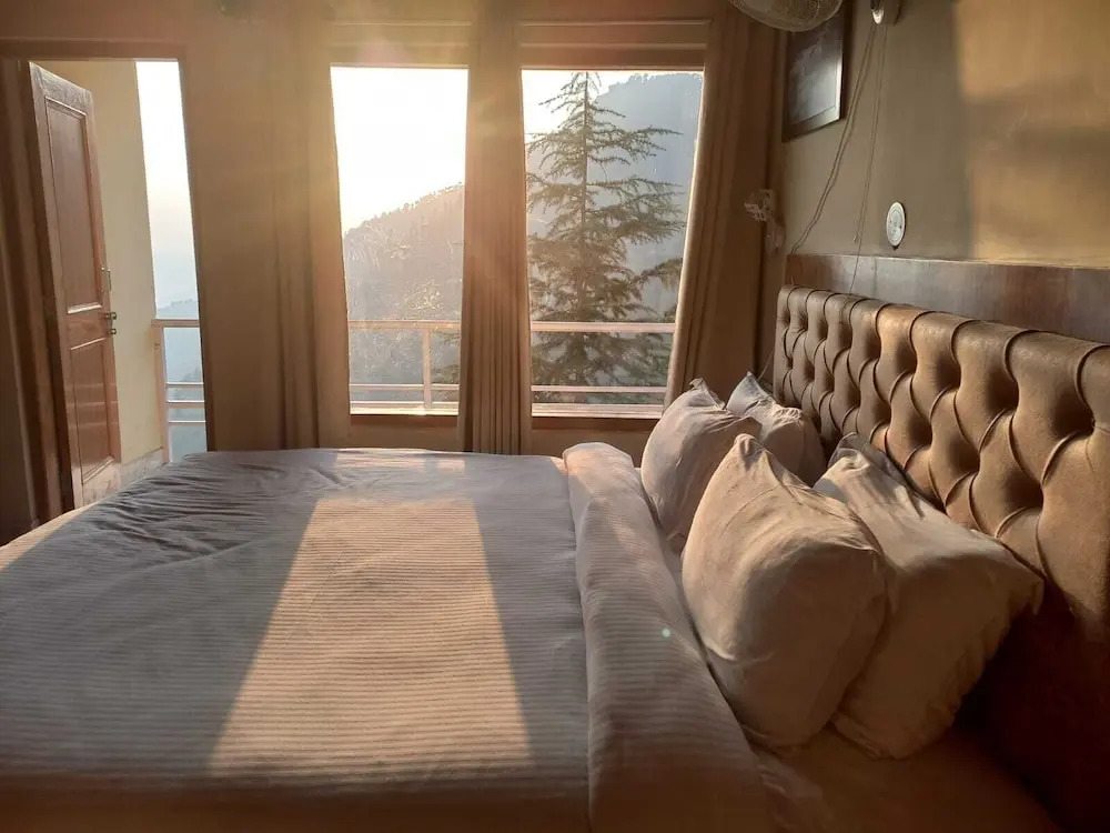The Jungle Story - Shimla | By Headquarter