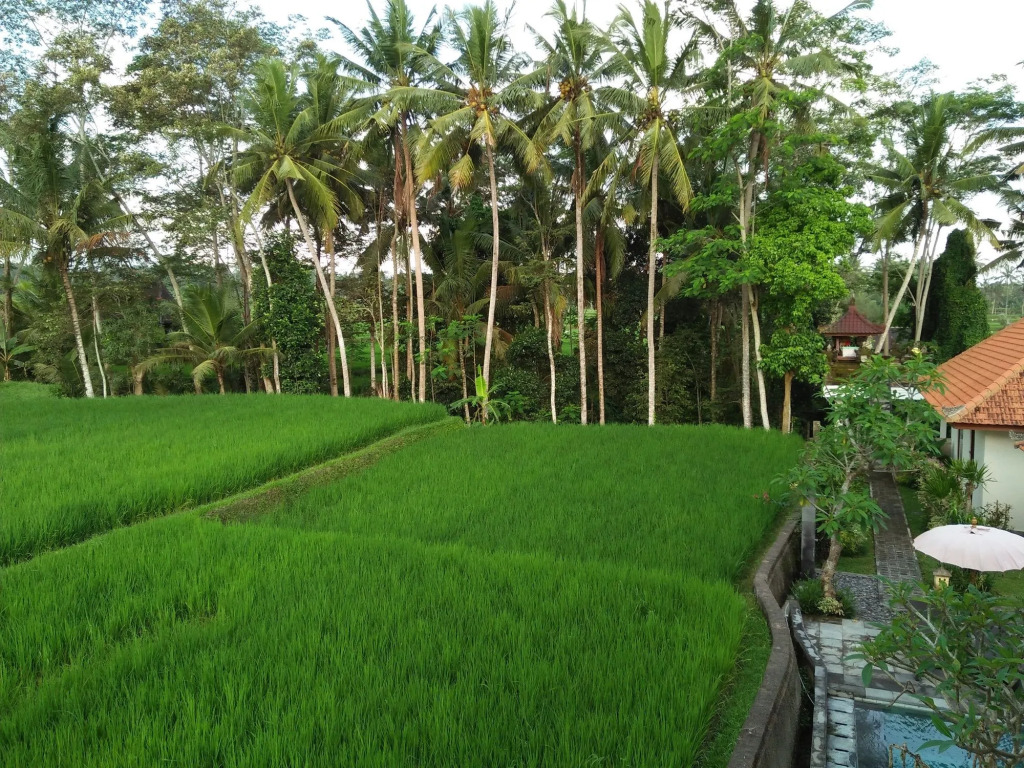 Kubu Bali Baik Villa & Resort