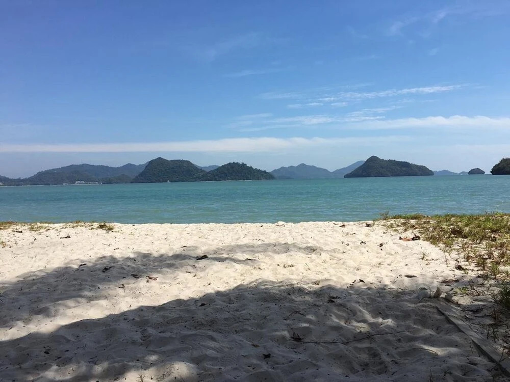 Wild Pasir Panjang