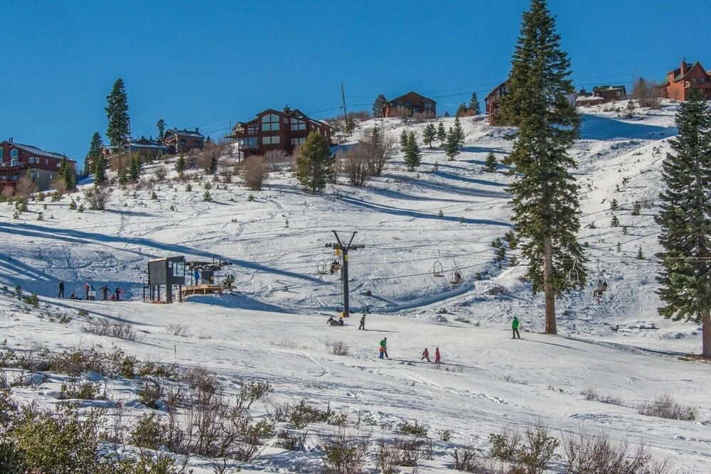 The Ponderosa: Gorgeous Custom-Built Log Home home