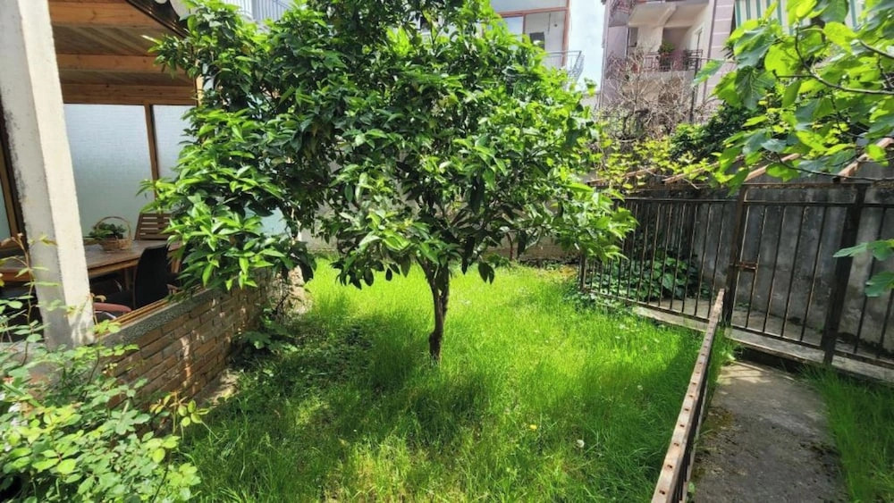 Kalpazo Rental Vila 313 Tirana