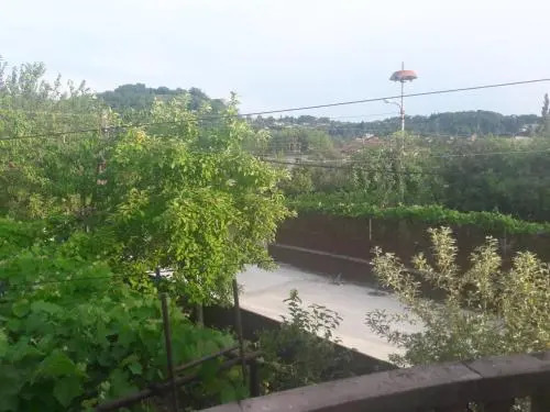 Green Yard