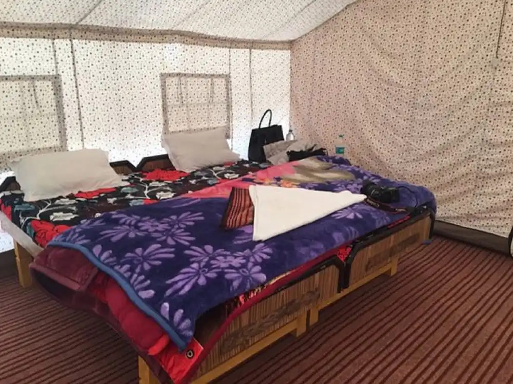The Buddha Camp