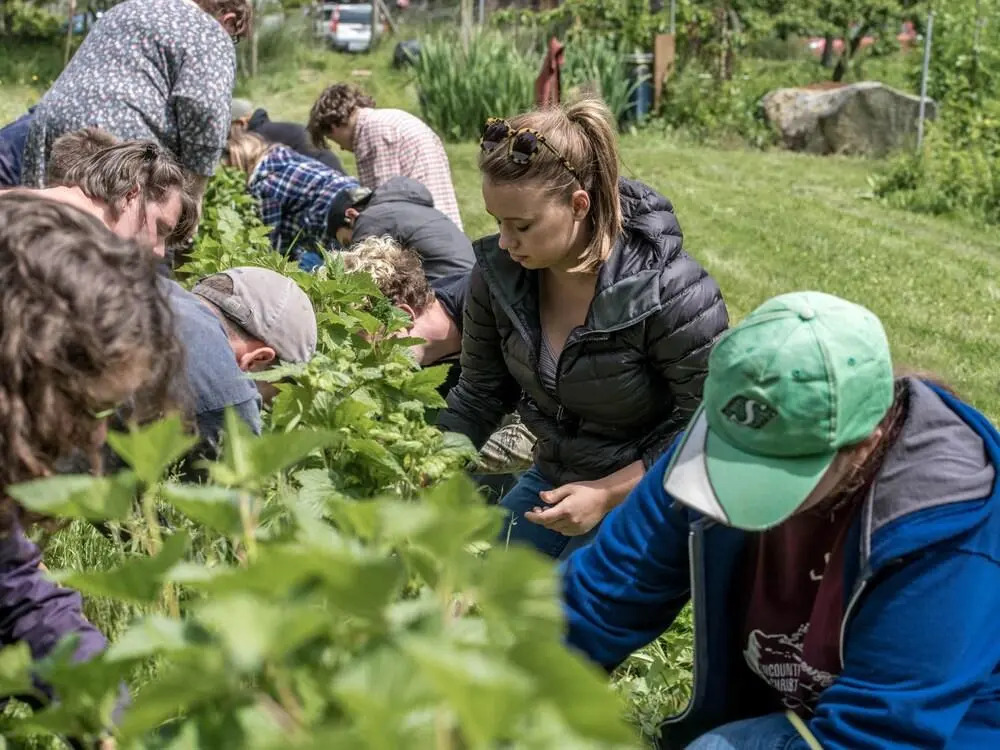 Nettles Farm