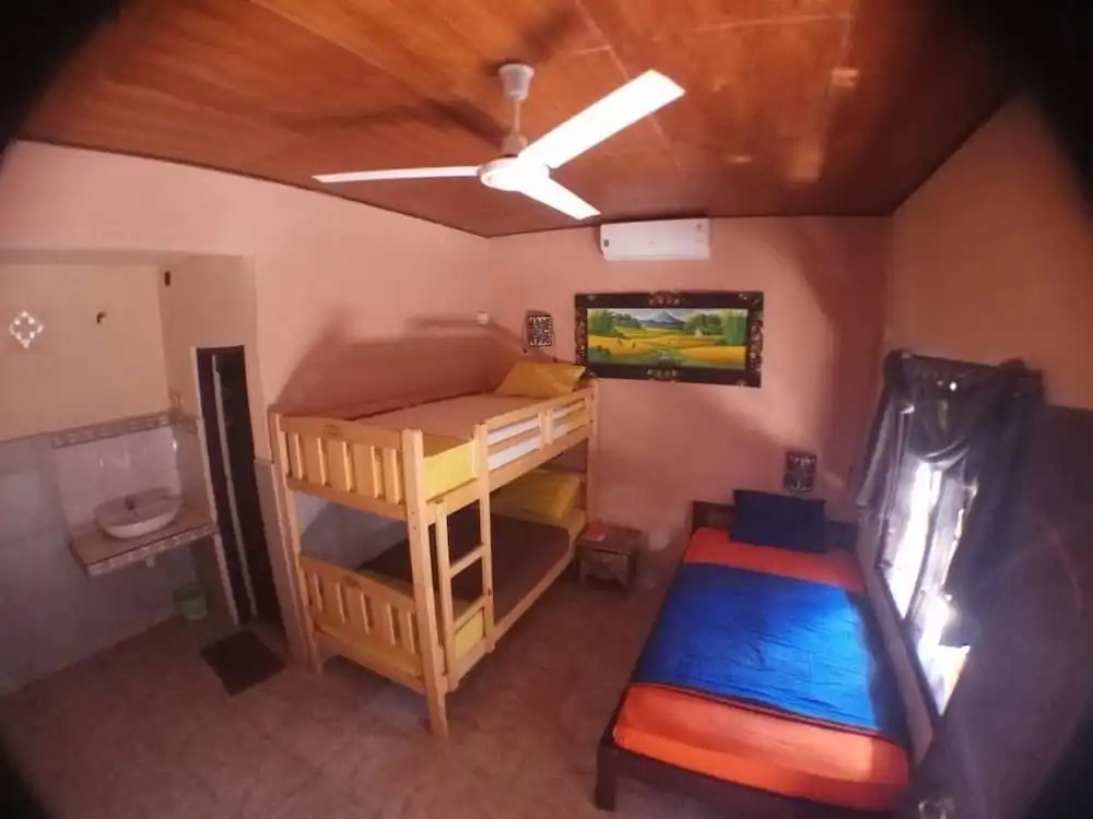 Amel Homestay
