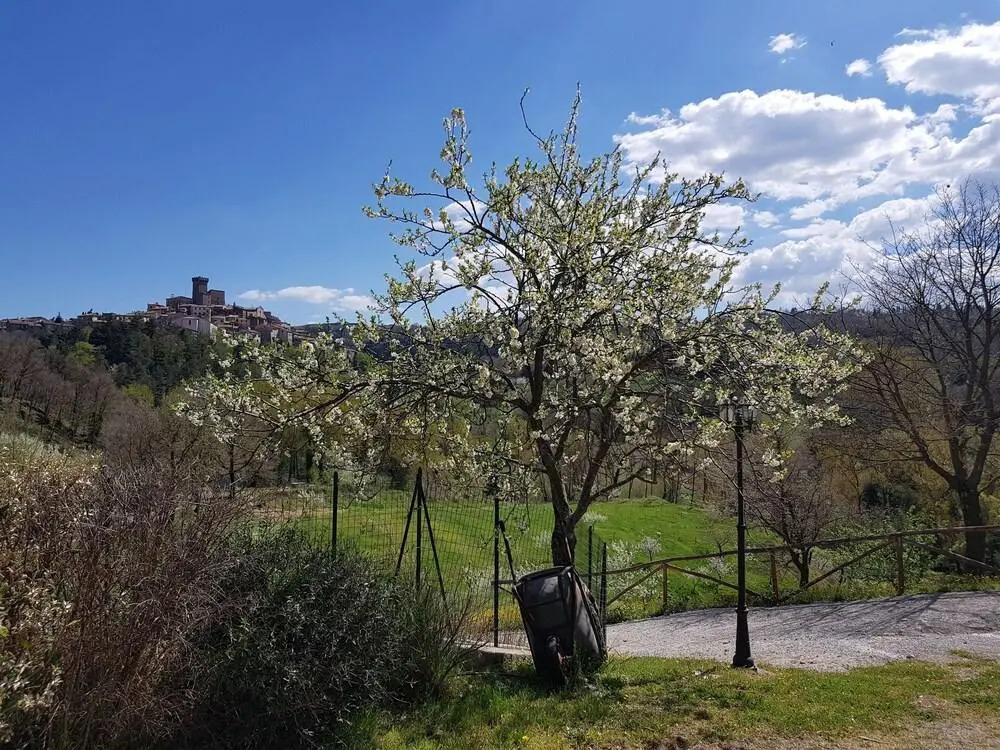 Agriturismo Castello delle Fornaci - Private Summer Jacuzzi