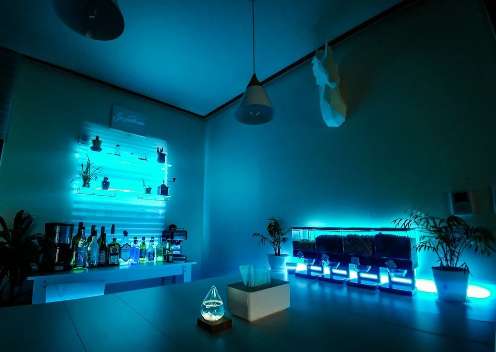 Jo Guesthouse - Hostel