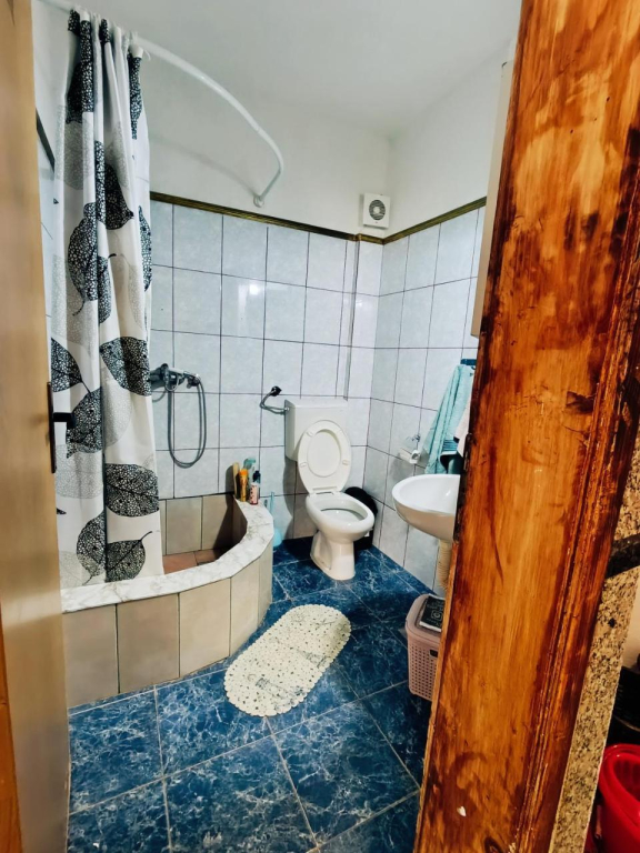 Hostel Backpackers