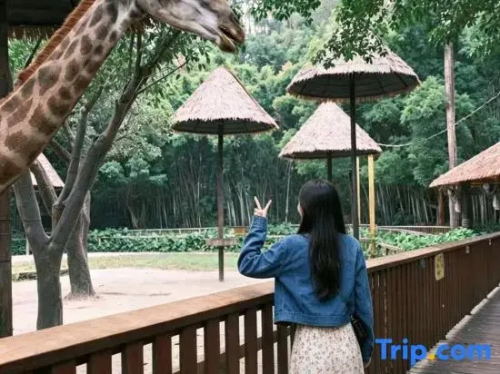 Rezen Prime Hotel (Chimelong Safari Park Guangzhou South Railway Station Branch)