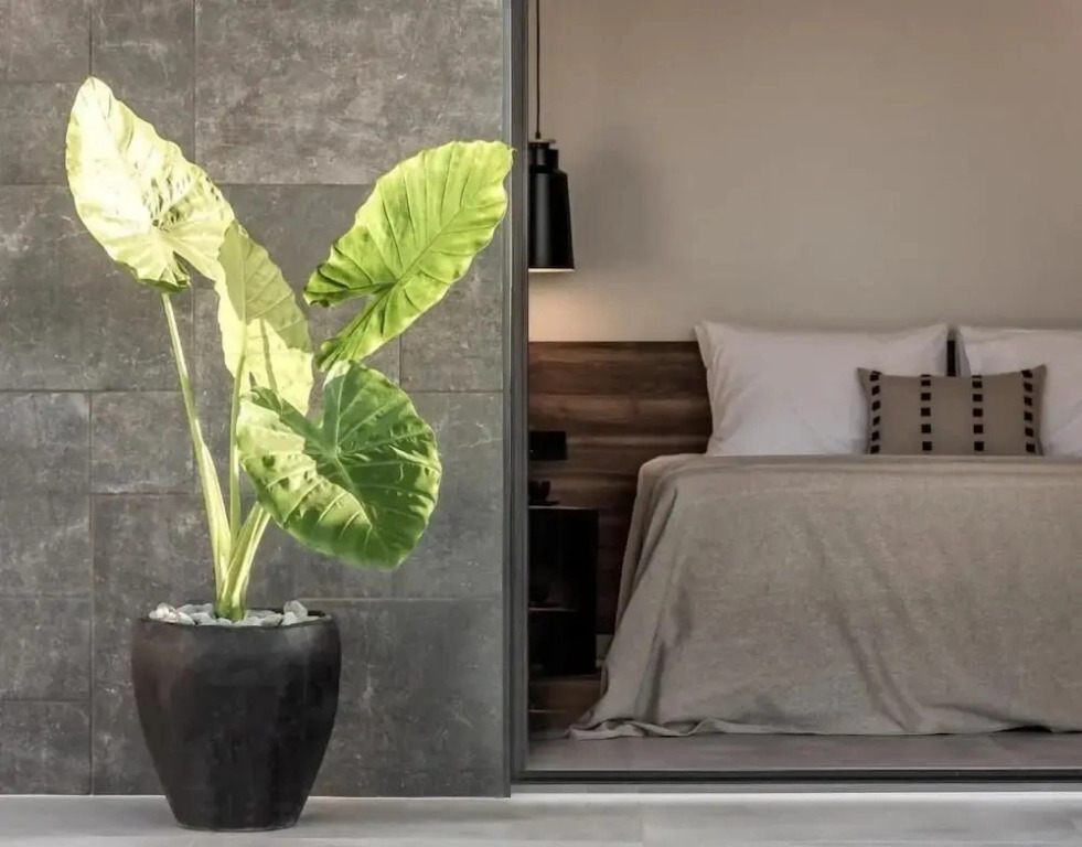 AKU Suites with private pools