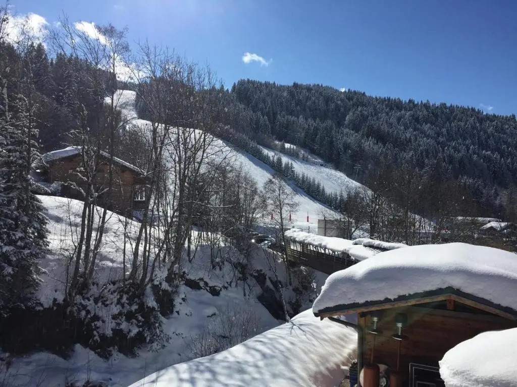 Appartement Les Gets, 4 pièces, 8 personnes - FR-1-454A-7