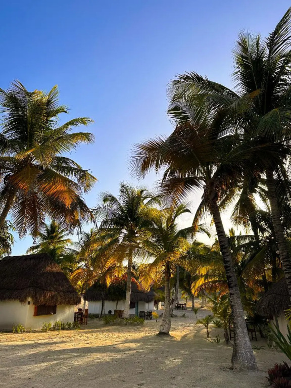 Alito Tulum Hotel