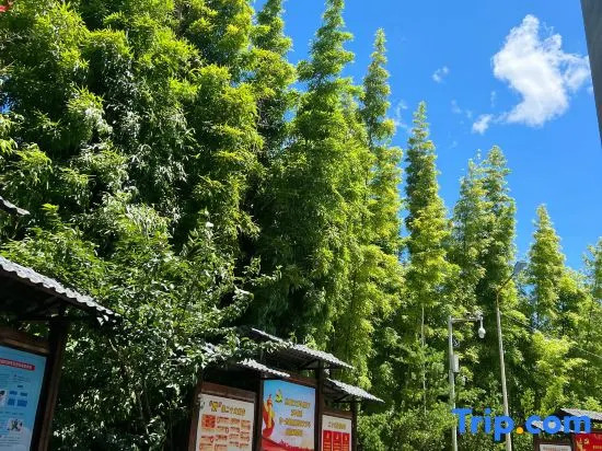 Pingnan Warm House Homestay