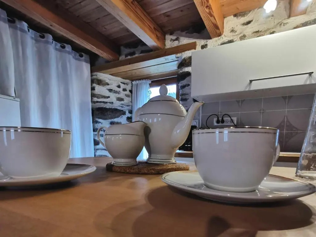 Charmante maison dans les gorges de la Loire avec terrasses et poêle à bois - FR-1-582-319