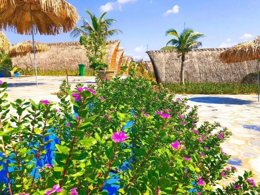 Resort Hoa Loi