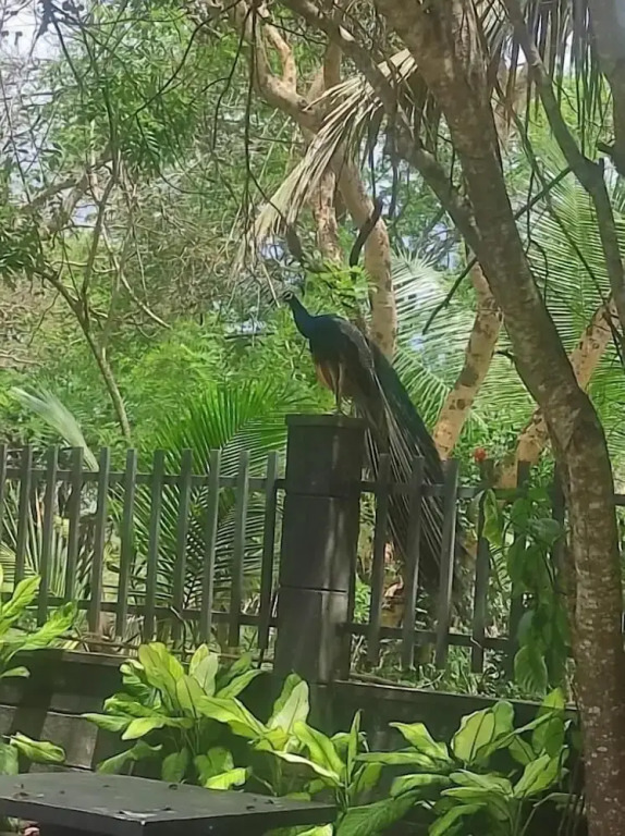 Noble Sight Hotel - Anuradhapura