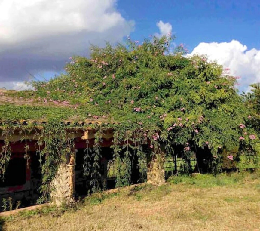 House With one Bedroom in Llubí, With Wonderful Mountain View, Shared Pool, Enclosed Garden Near the Beach