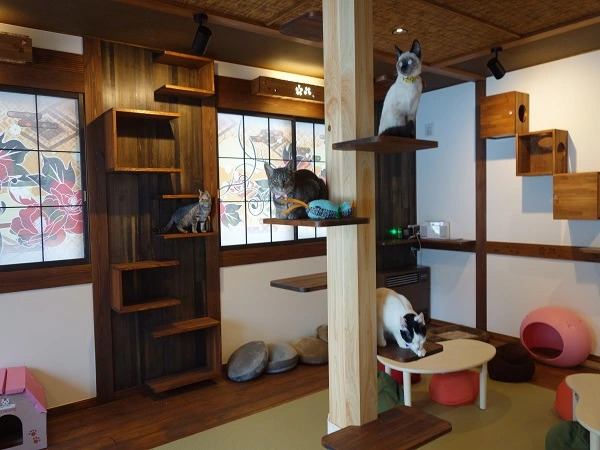 Minamiya 山とねこと遊ぶ宿 みなみ家