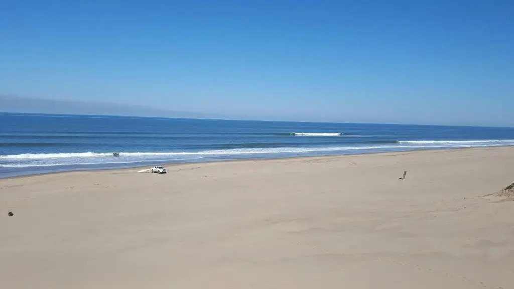 Raphia on Sea