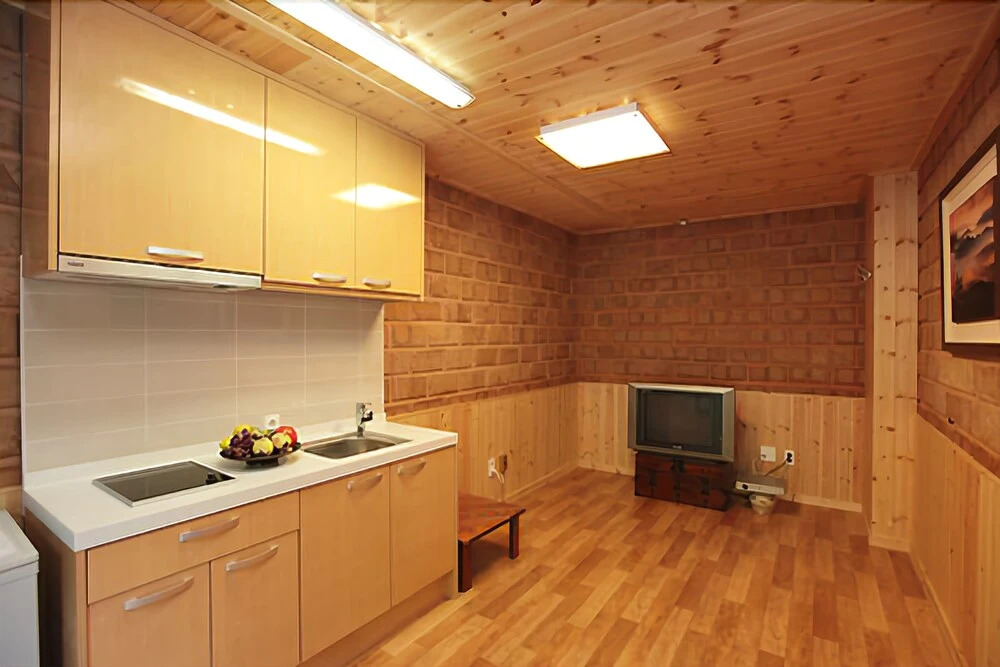 Hongcheon Hometown Spring Pension