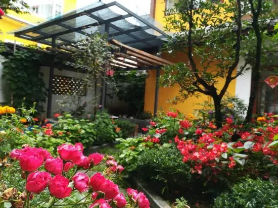 Lijiang Beibeijia Snow Mountain Scenic Home
