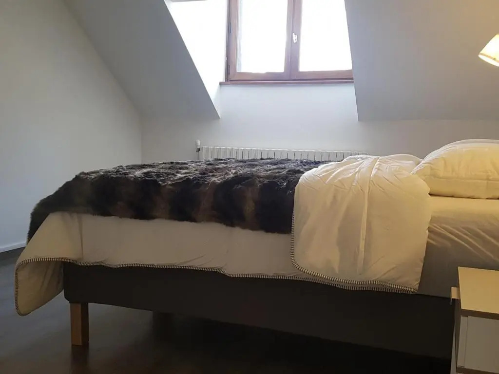 Appartement Chamonix-Mont-Blanc, 4 pièces, 10 personnes - FR-1-517-37