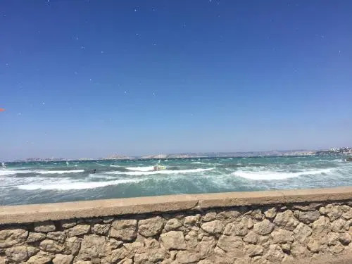 Les Mats Du Port