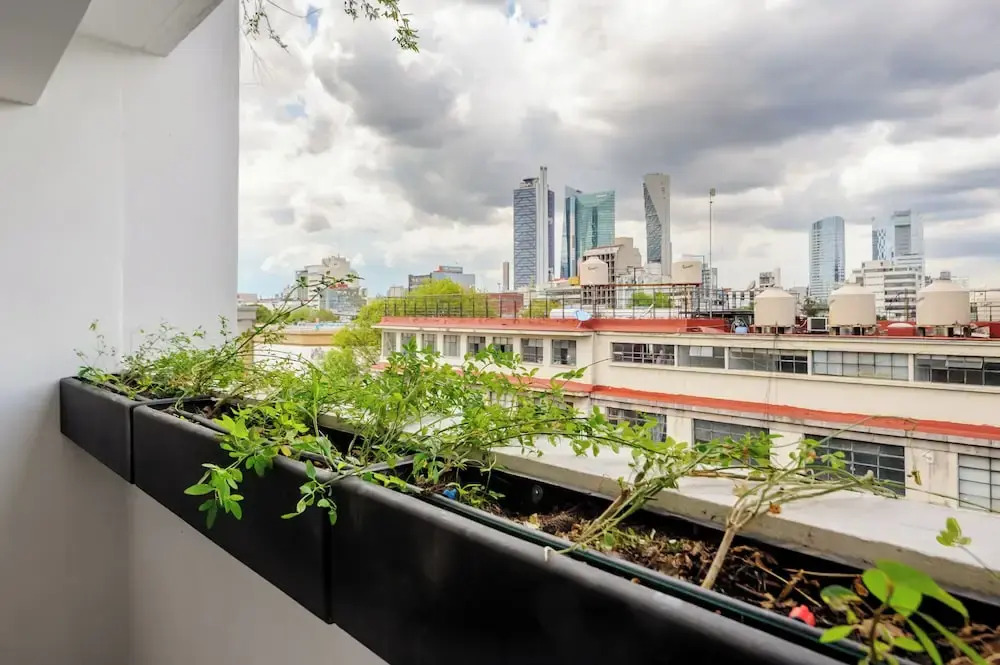 Colima by Wynwood House