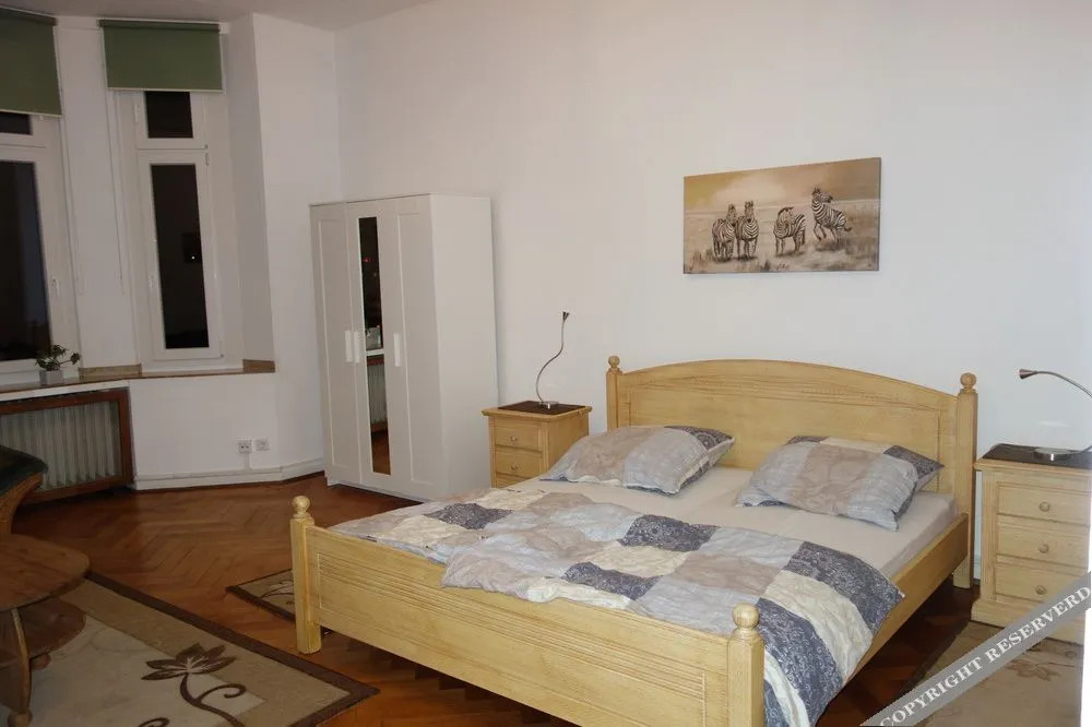 Tolstov-Hotels Large 3 1/2 Room Apartment