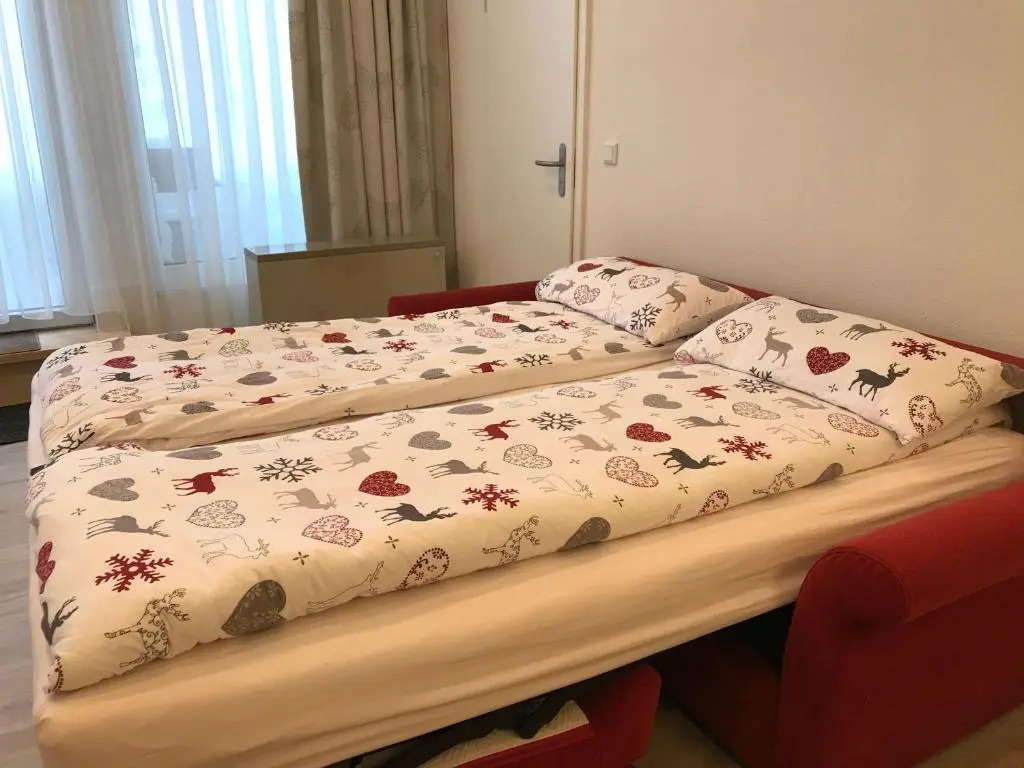 Sport-Alpin-Wohnung-4
