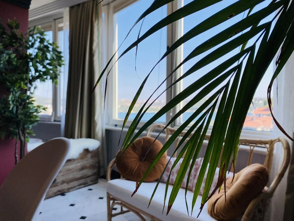 Missafir Flat With Bosphorus View in Rumeli Hisari