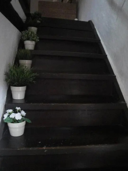 Irenes House