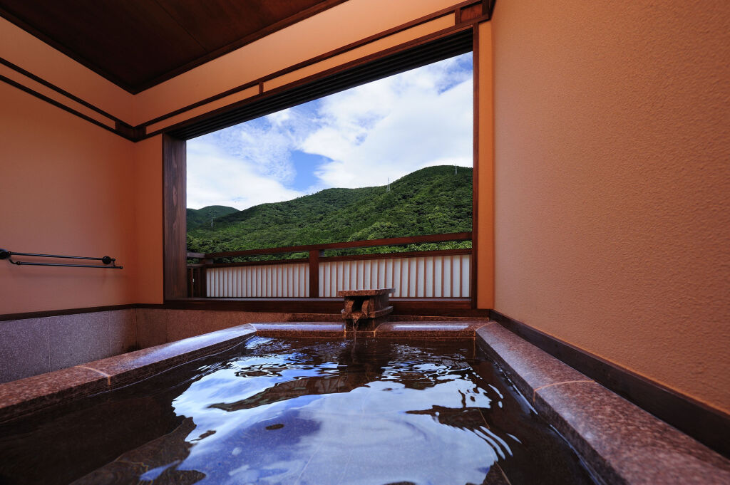 Hakone Onsen Ryokan Yaeikan