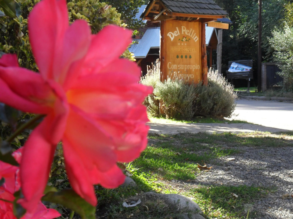 Apart Hotel del Pellin