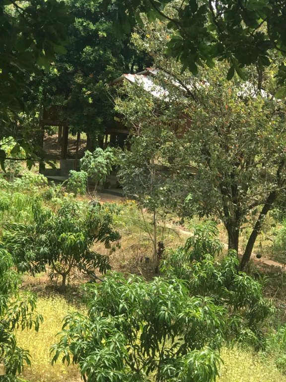 Gaga addara resort
