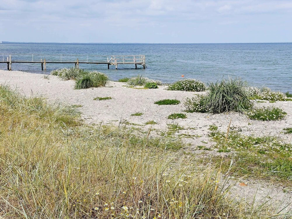 Pleasing Holiday Home in Syddanmark near Sea