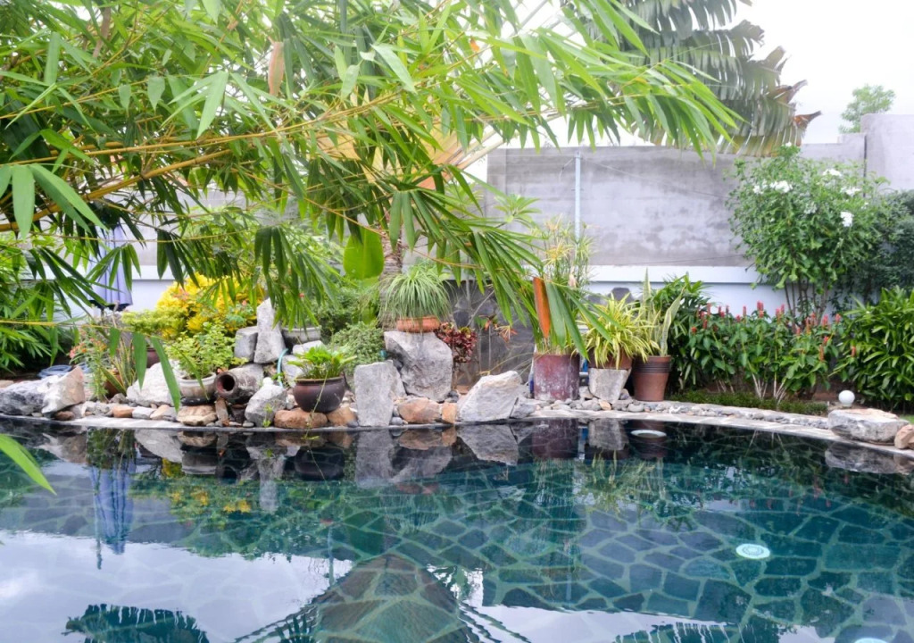 Evergreen Resort