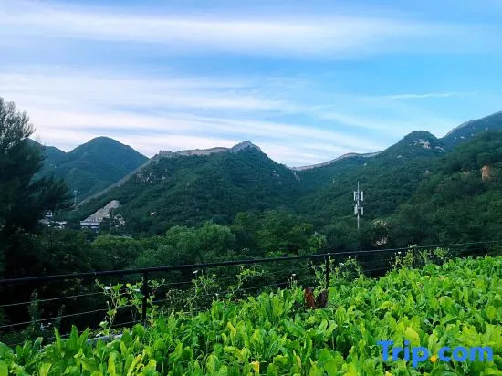 Beijing Forget Mountain·Hawthorn Tree Homestay