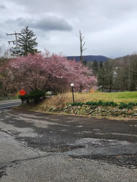 Glenwood Inn - Stroudsburg