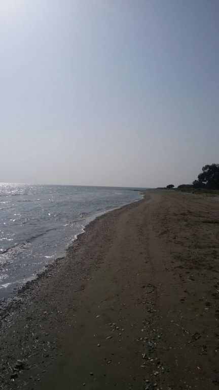 Il Mare Beach House