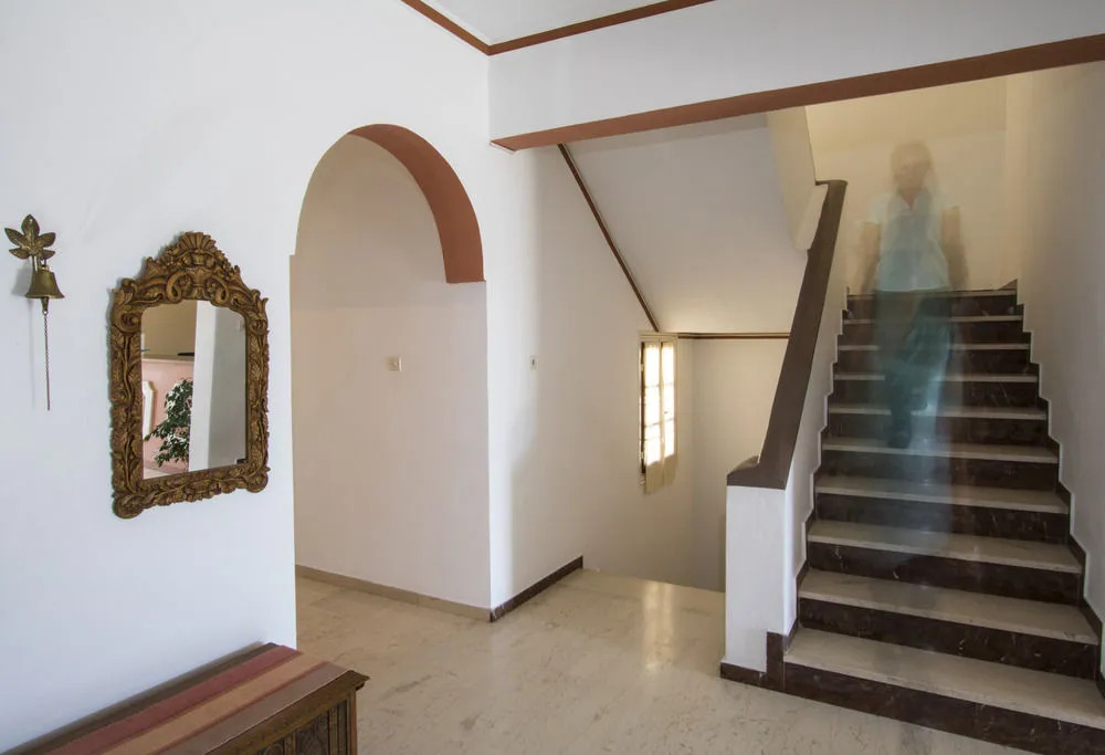 Hotel Adonis