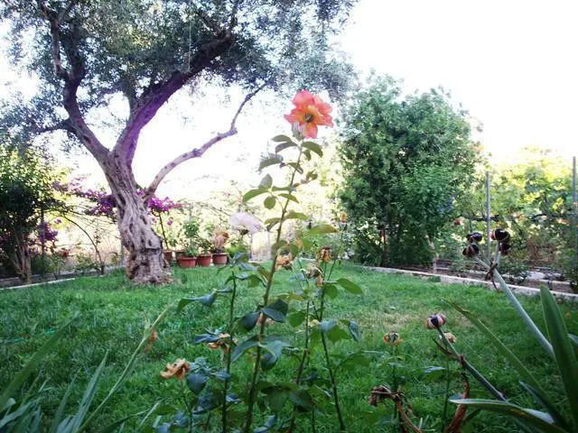 Theodora Studios