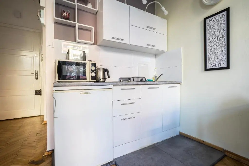 Elegant Apartament Copernicus