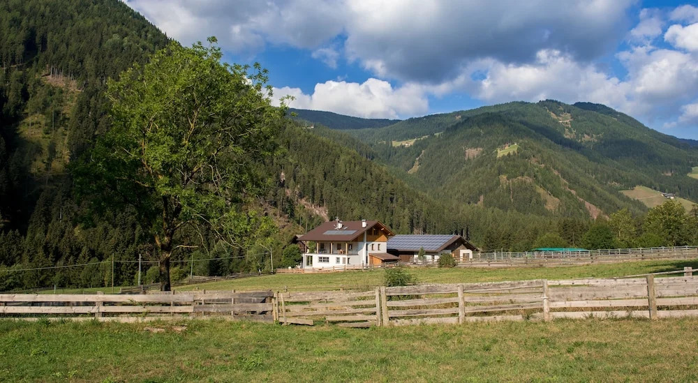 Seebacher Apartments