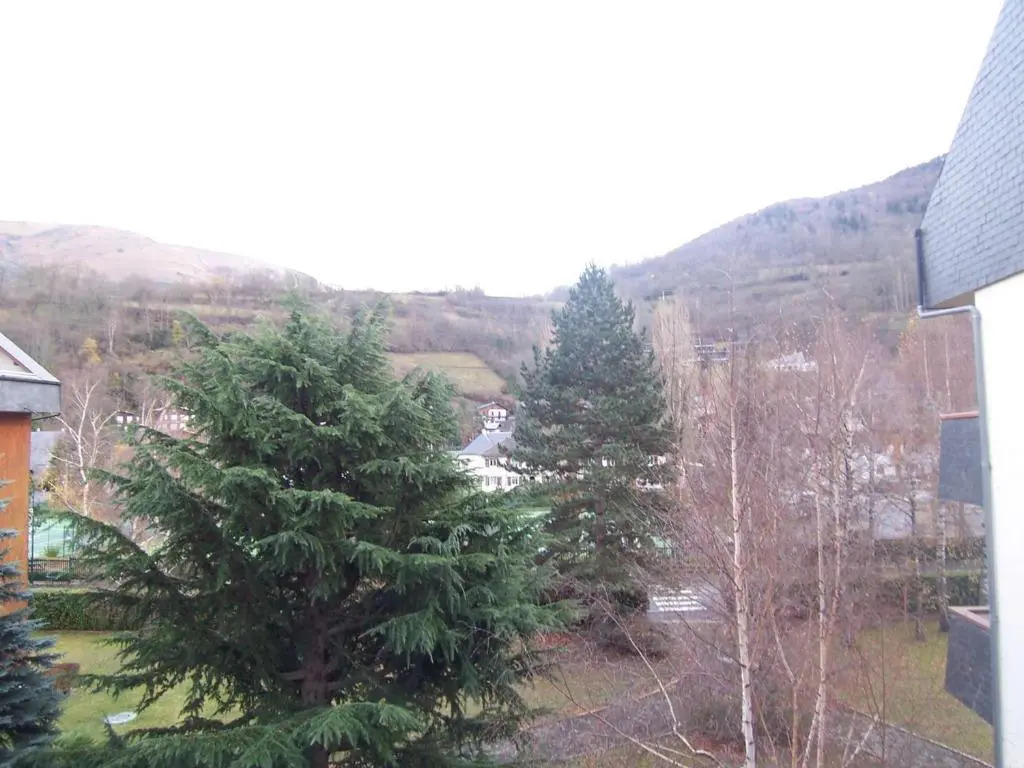 Appartement Saint-Lary-Soulan, 2 pièces, 4 personnes - FR-1-457-218