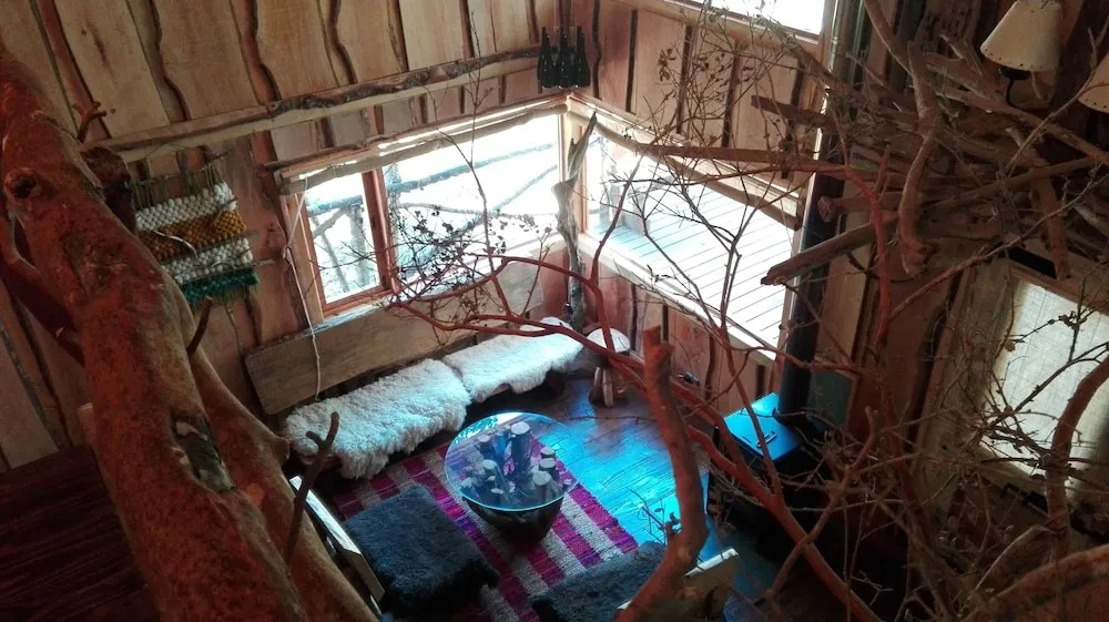 Wonderful rustic cabin, with native trees, with Rio Trancura, equipped