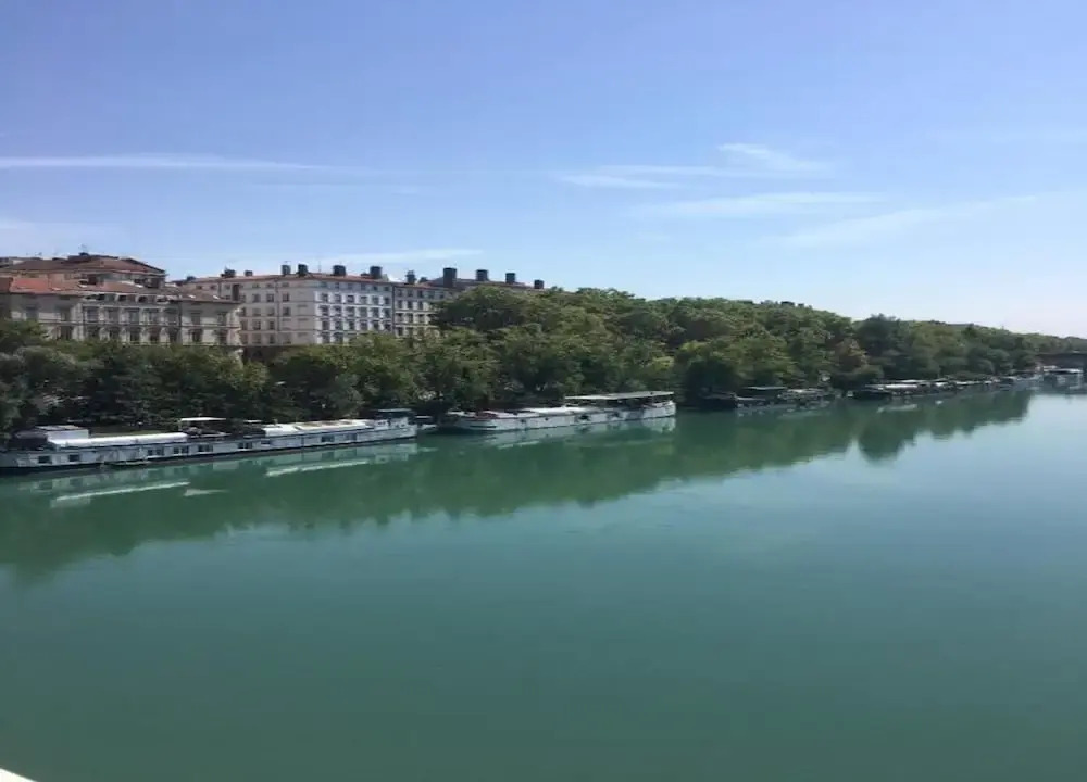 Dify Wilson - Villeurbanne