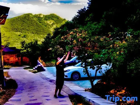 Wuling Mountain's Shouyuzirangjingba Guesthouse