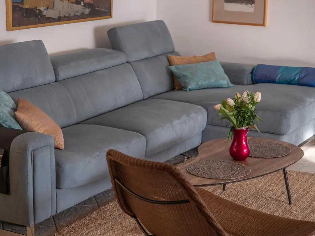 Apartment Radovic