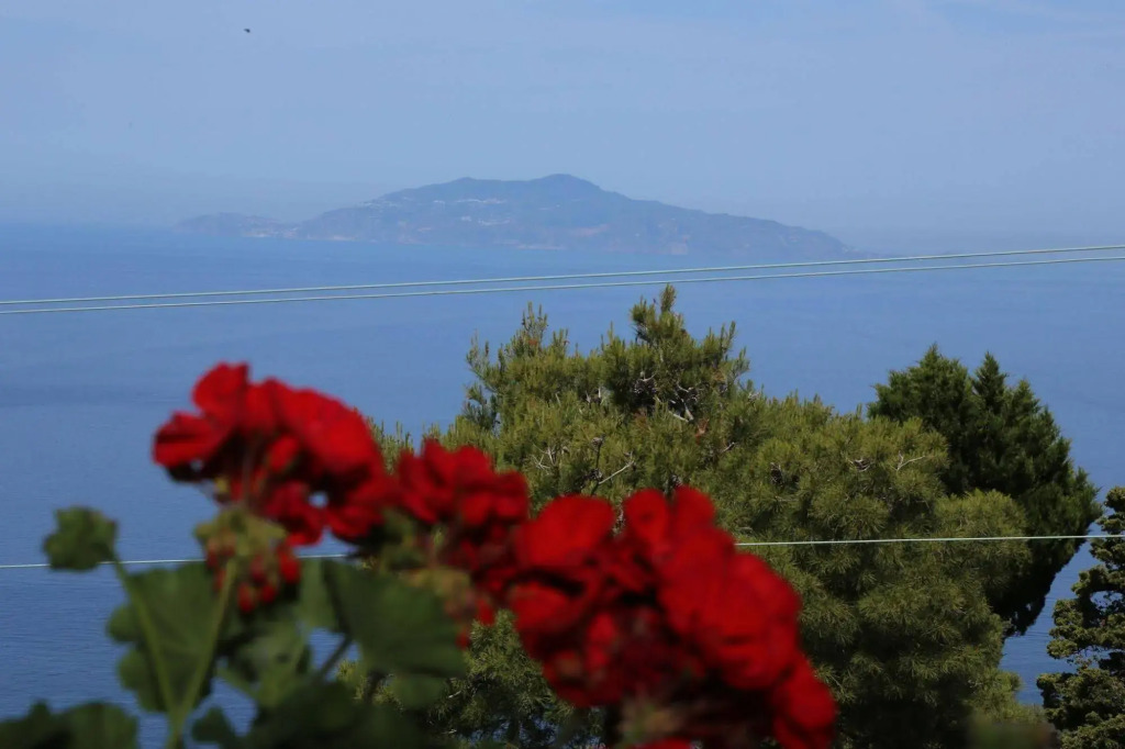 Alle Ginestre B&B